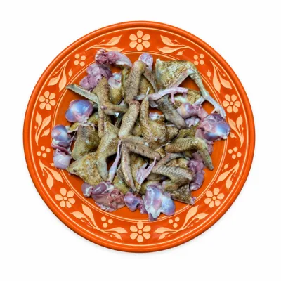 কবুতরের বাচ্চা
