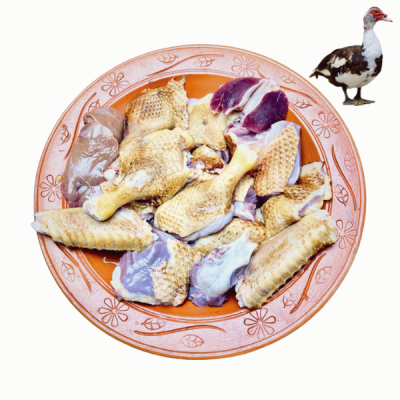 Chinese Duck